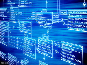 筑牢数字基石 互联网企业用户数据库安全的现状、挑战与对策